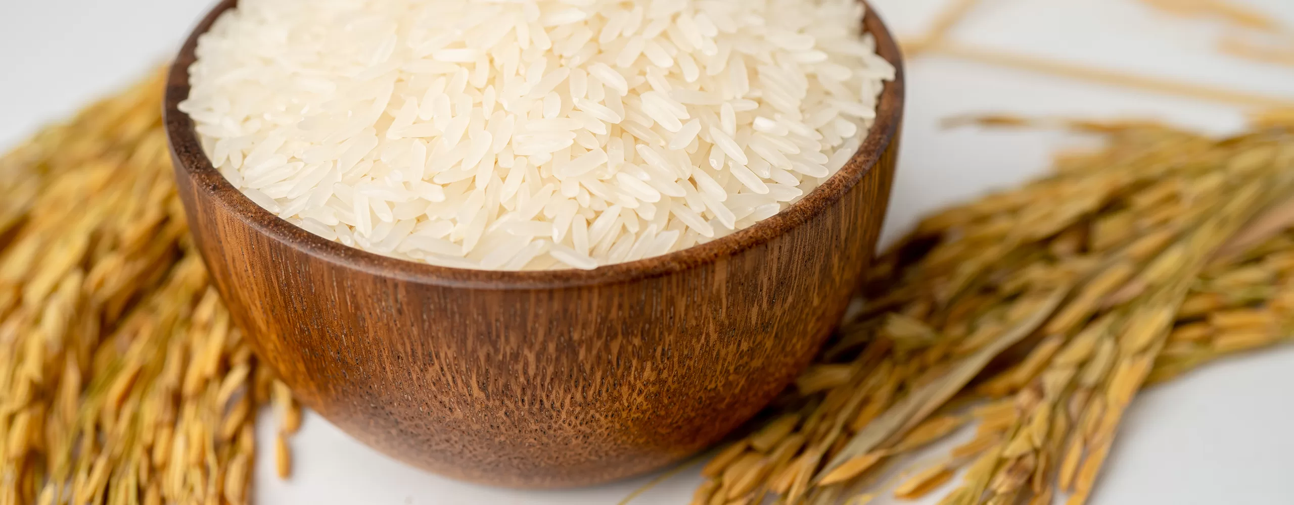 banner-arroz-25-1
